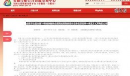 合肥王先生最新爆料,揭秘背后惊人真相！